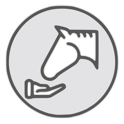 Horse Feedback